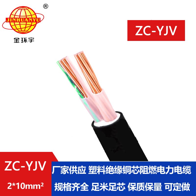 金環宇電線電纜 阻燃yjv電纜 ZC-YJV 2X10平方  交聯電纜yjv